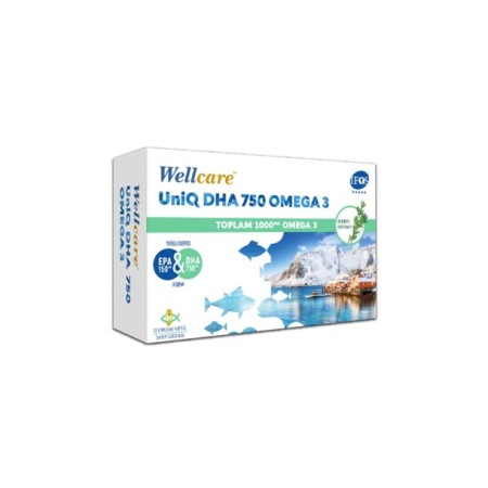 Wellcare UniQ DHA 750 Omega 3 Balık Yağı 30 Kapsül