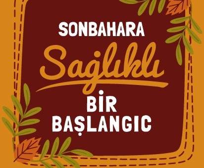 Sonbahara Sağlıklı Bir Başlangıç: Bağışıklığınızı Güçlendirecek Takviye Edici Gıdalar